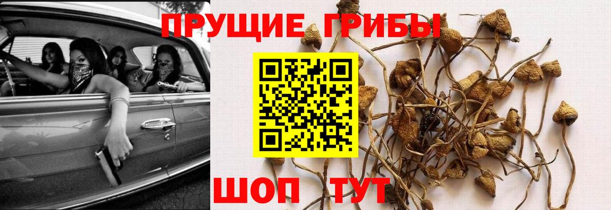 Галлюциногенные грибы мухоморы Пыть-Ях